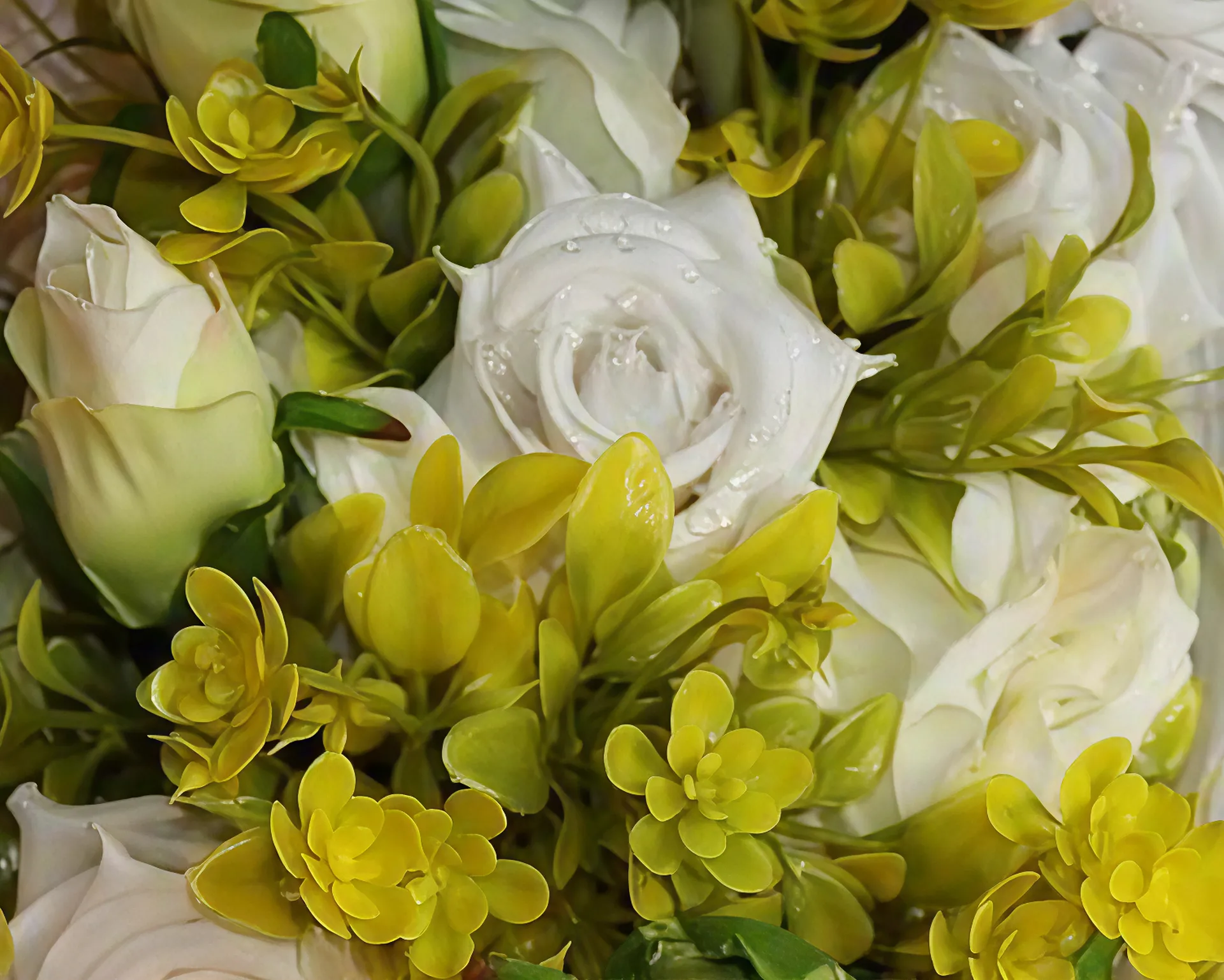 Beautiful white and yellow green flowers