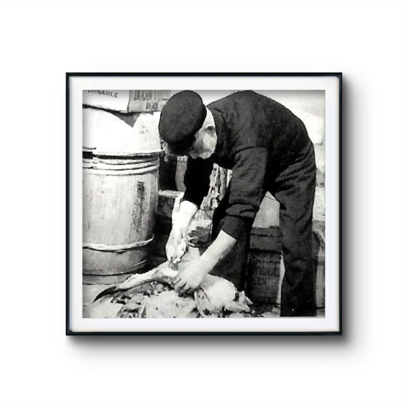 Vintage Photographs Fisherman gutting fish
