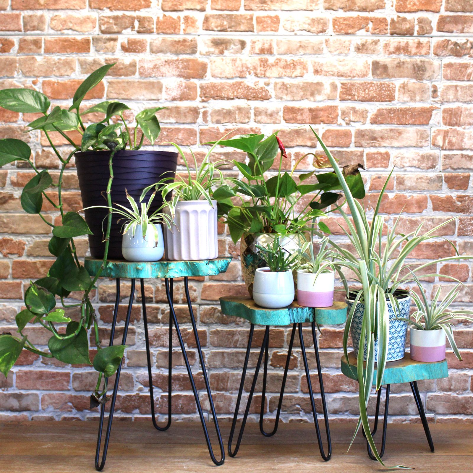 Set of 3 Gamal Wood Plant Stands - Greenwash - Image 3
