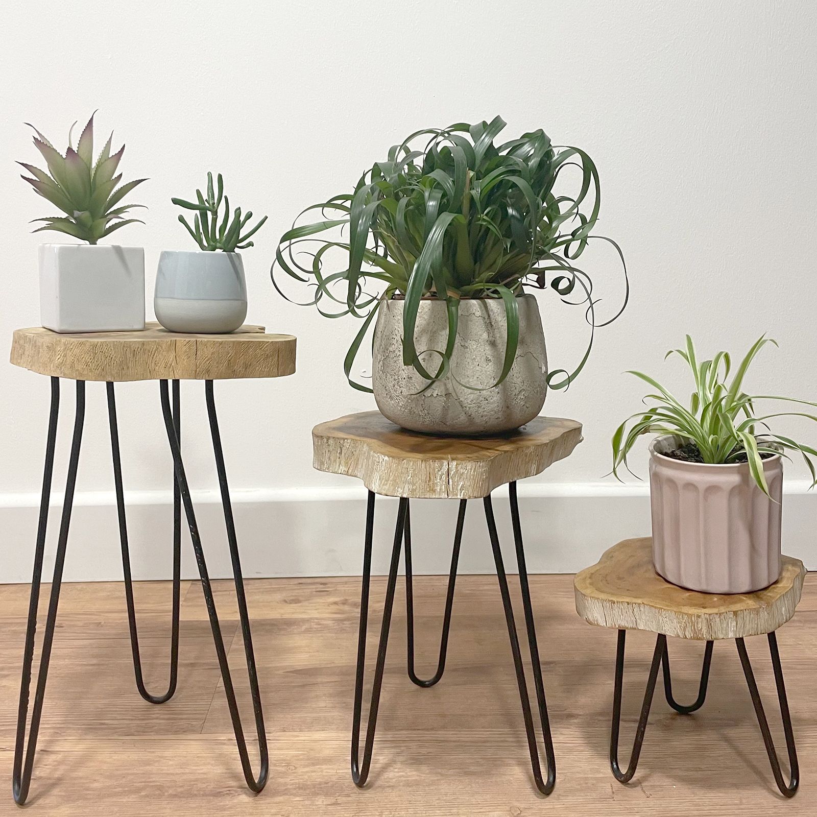 Set of 3 Gamal Wood Plant Stands - Greenwash - Image 9