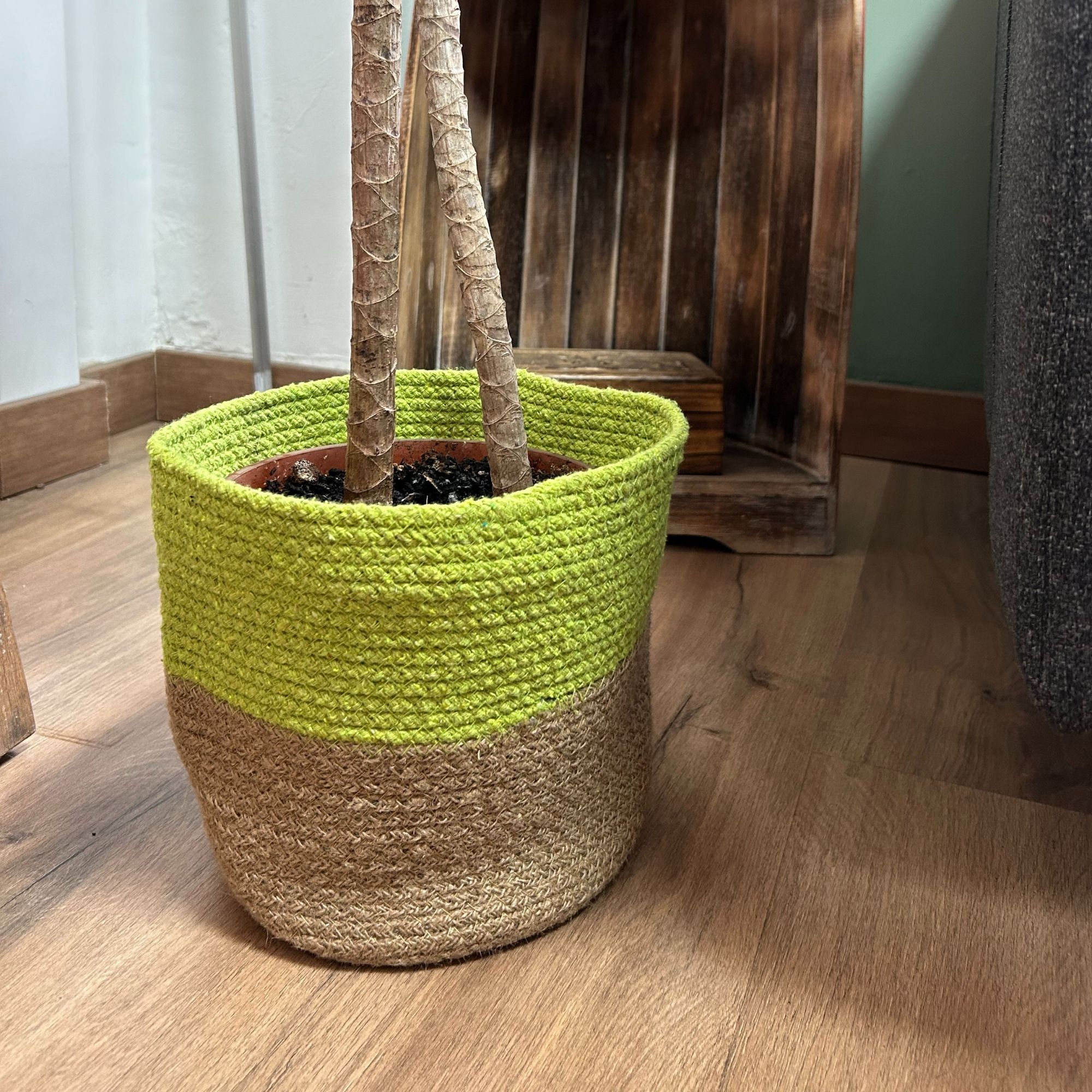 Set of 3 Cotton Rope Storage Baskets - Pistachio - Image 2