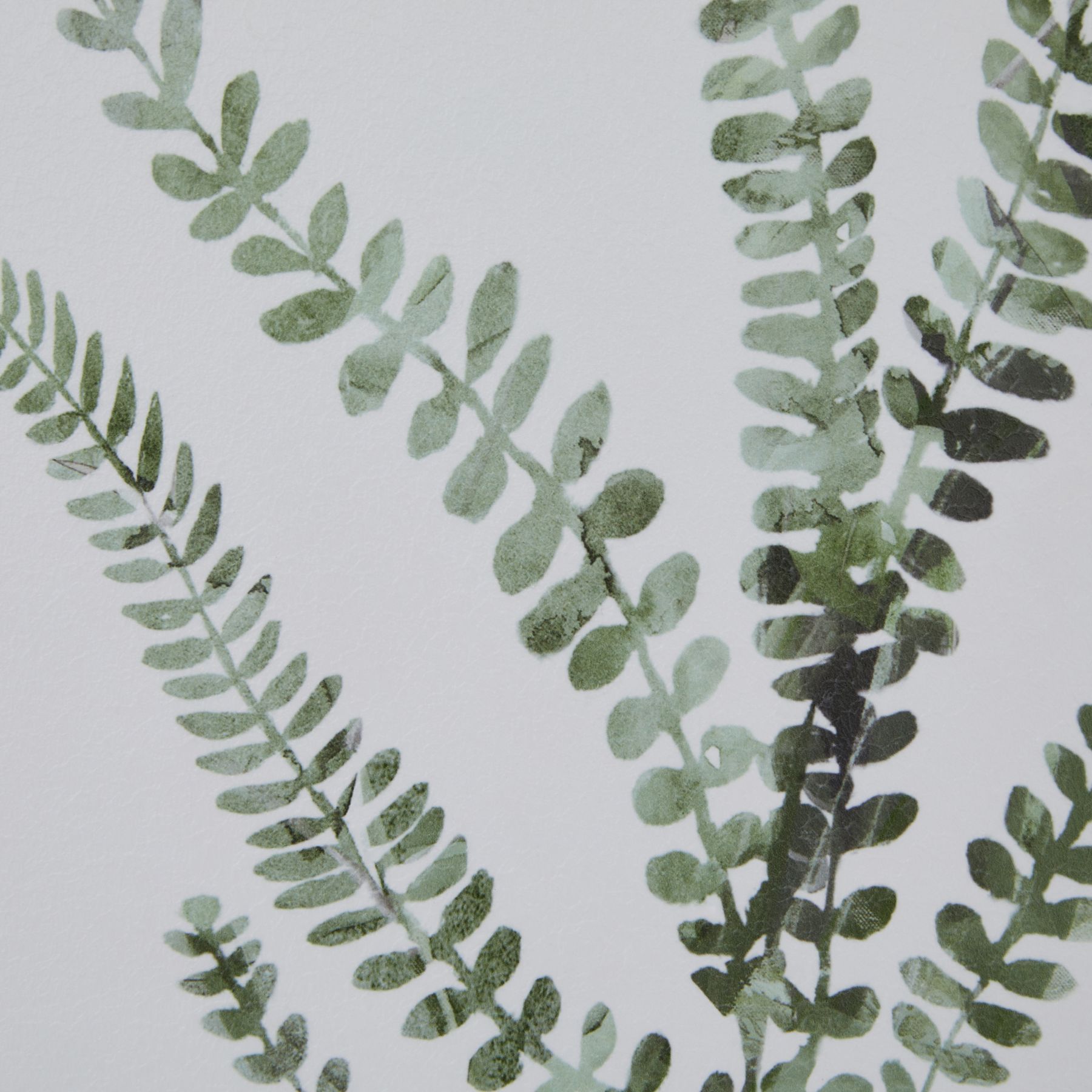 Watercolour Delicate Fern In Washed Wood Frame - Image 4