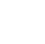 V29 Equestrian Wear