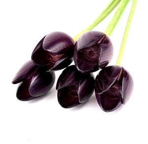 5 purple tulips