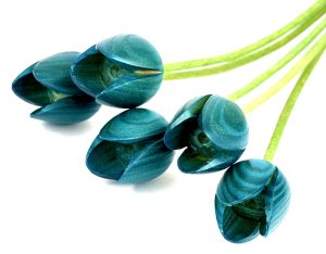 5 turquoise tulips