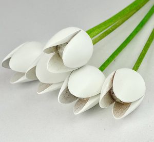 5 white tulips