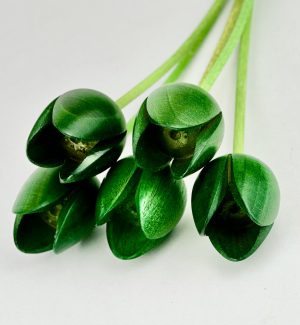 5 green tulips
