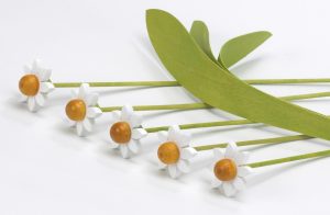 5 white daisies with leaves