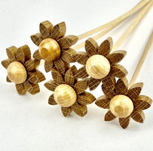 5 natural oak daisies