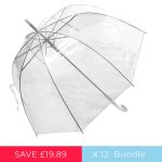 Transparent auto open umbrella with curved handle for rain protection.
