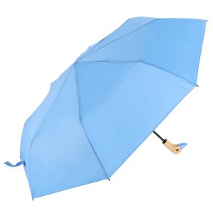Bright Blue Duck Handle Umbrella (32116)
